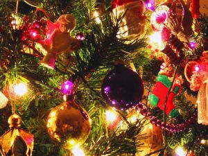 oh christmas tree oh christmas tree